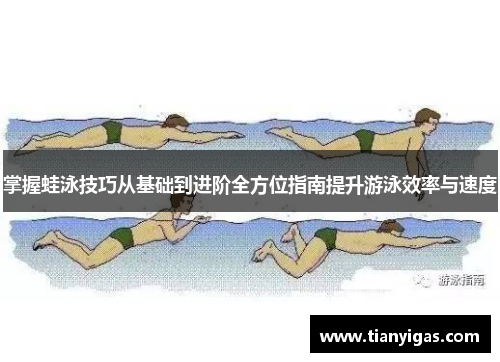 掌握蛙泳技巧从基础到进阶全方位指南提升游泳效率与速度