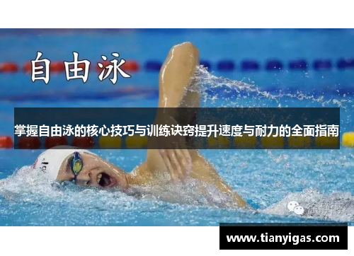掌握自由泳的核心技巧与训练诀窍提升速度与耐力的全面指南