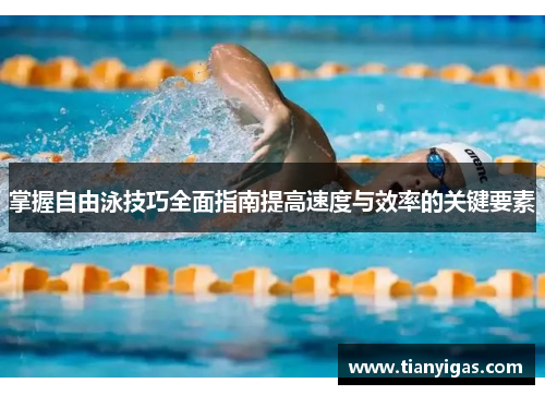 掌握自由泳技巧全面指南提高速度与效率的关键要素