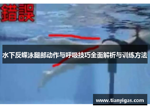 水下反蝶泳腿部动作与呼吸技巧全面解析与训练方法
