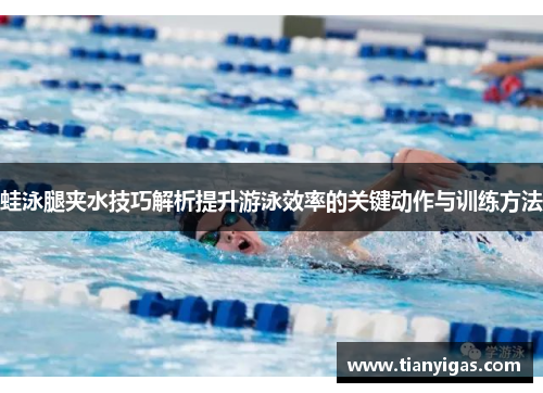 蛙泳腿夹水技巧解析提升游泳效率的关键动作与训练方法