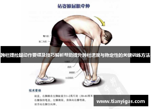 跨栏提拉腿动作要领及技巧解析帮助提升跨栏速度与稳定性的关键训练方法